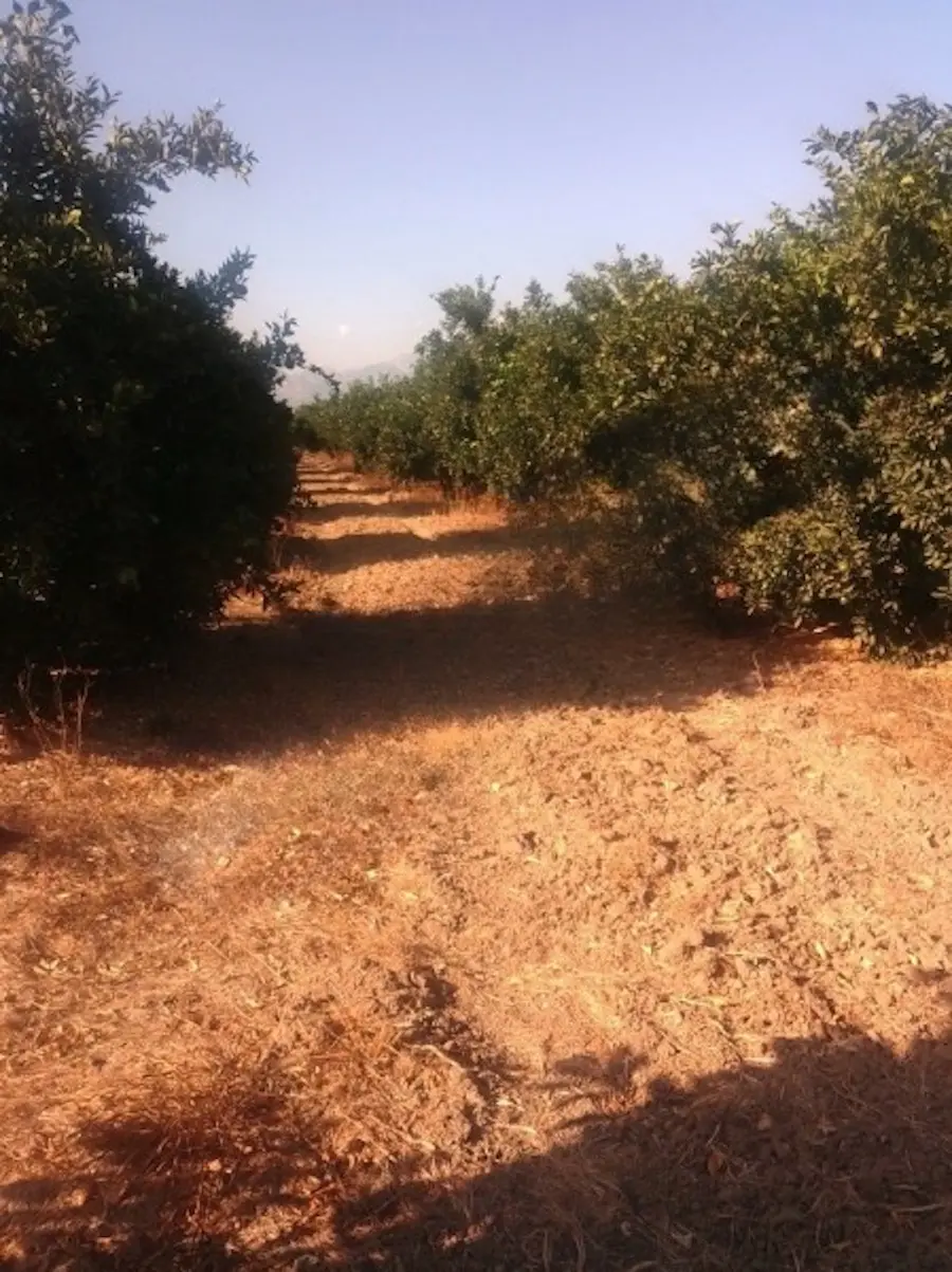 Land in Serik